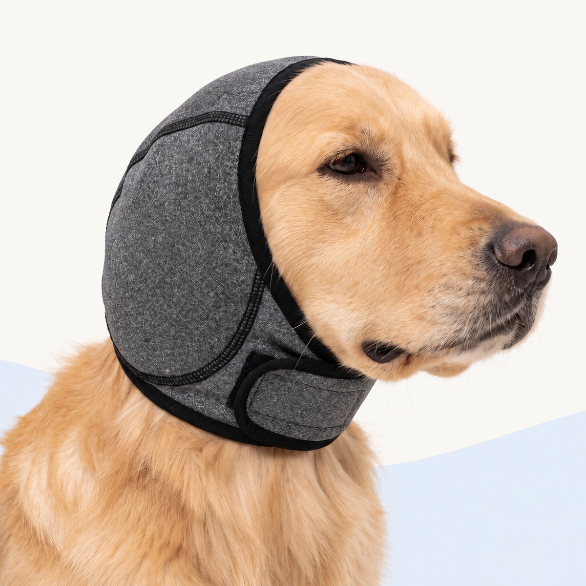 Bandeau Anti-Bruit pour Chien