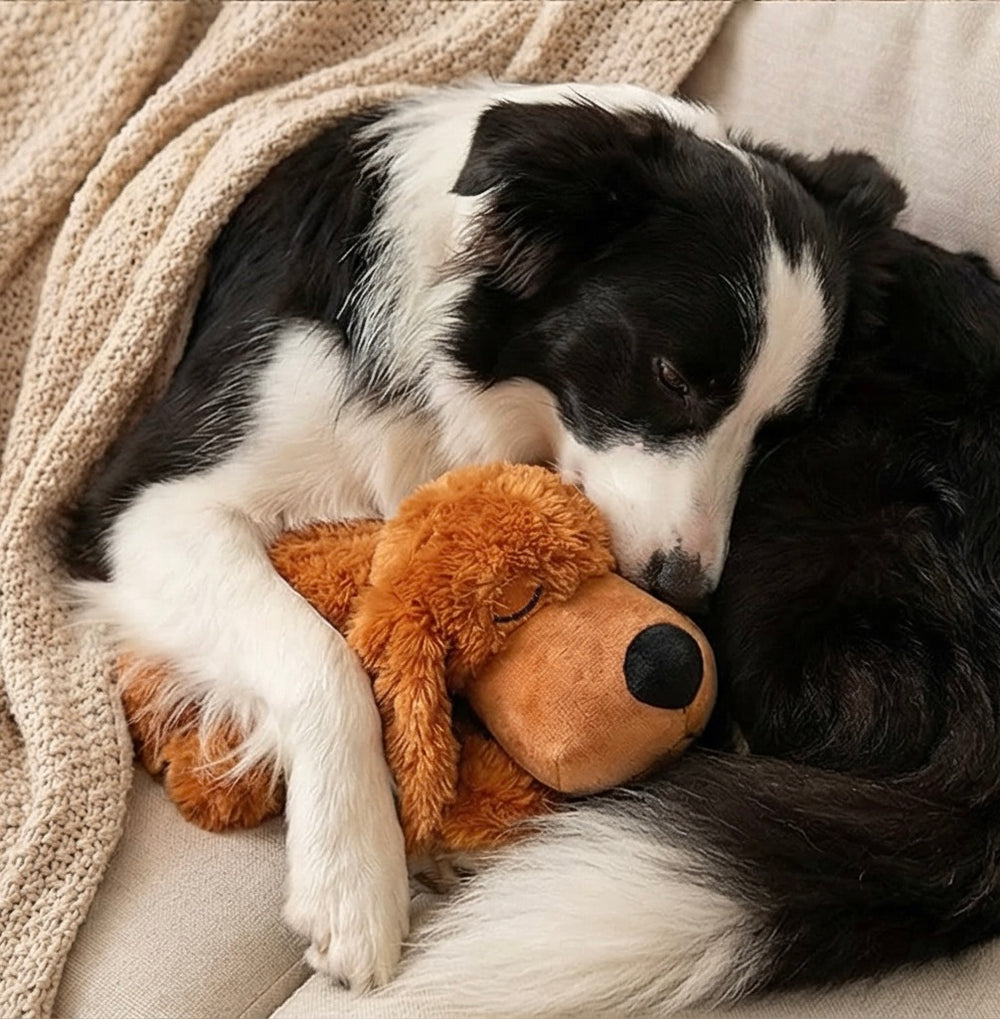 <p>Schließe dich über 400<strong> erleichterten Hundehaltern </strong>an<br/></p>