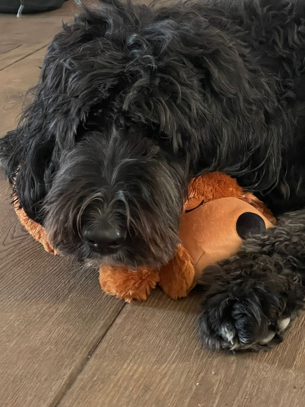 <p>Schließe dich über 400<strong> erleichterten Hundehaltern </strong>an<br/></p>