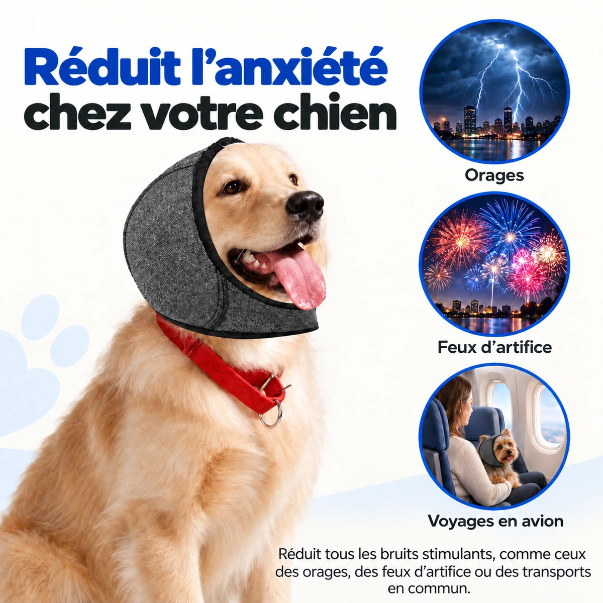 Bandeau Anti-Bruit pour Chien