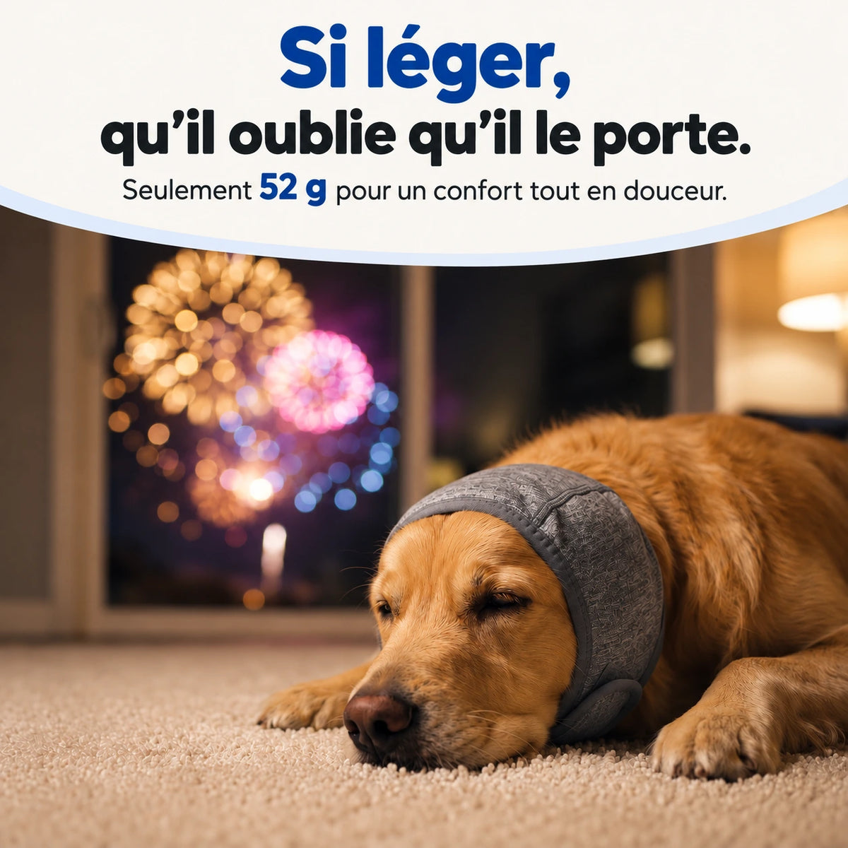 Bandeau Anti-Bruit pour Chien