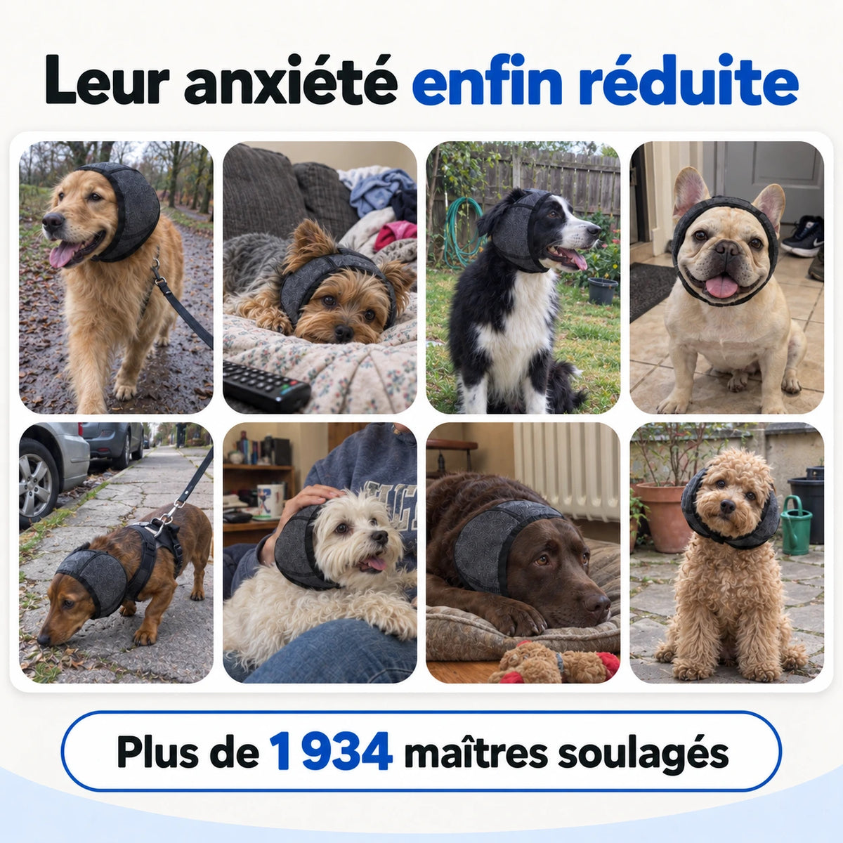 Bandeau Anti-Bruit pour Chien